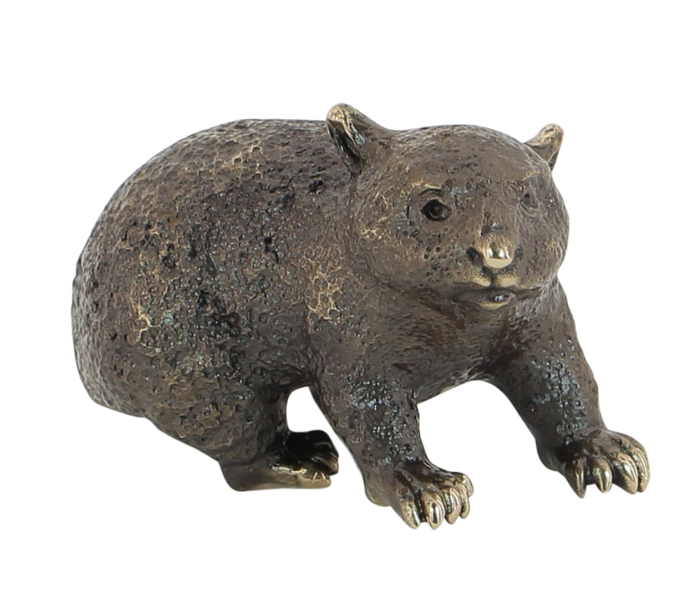 hand made solid bronze Wombat Australia animal burrows eats