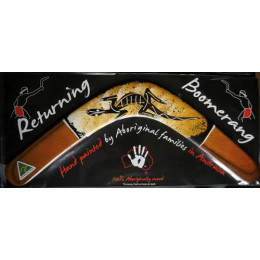 Boomerang Returning