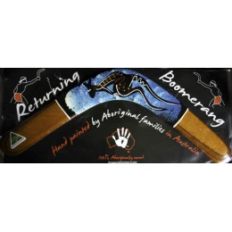 Boomerang Returning