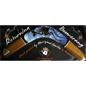 Boomerang Returning