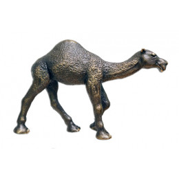 Camel, Small