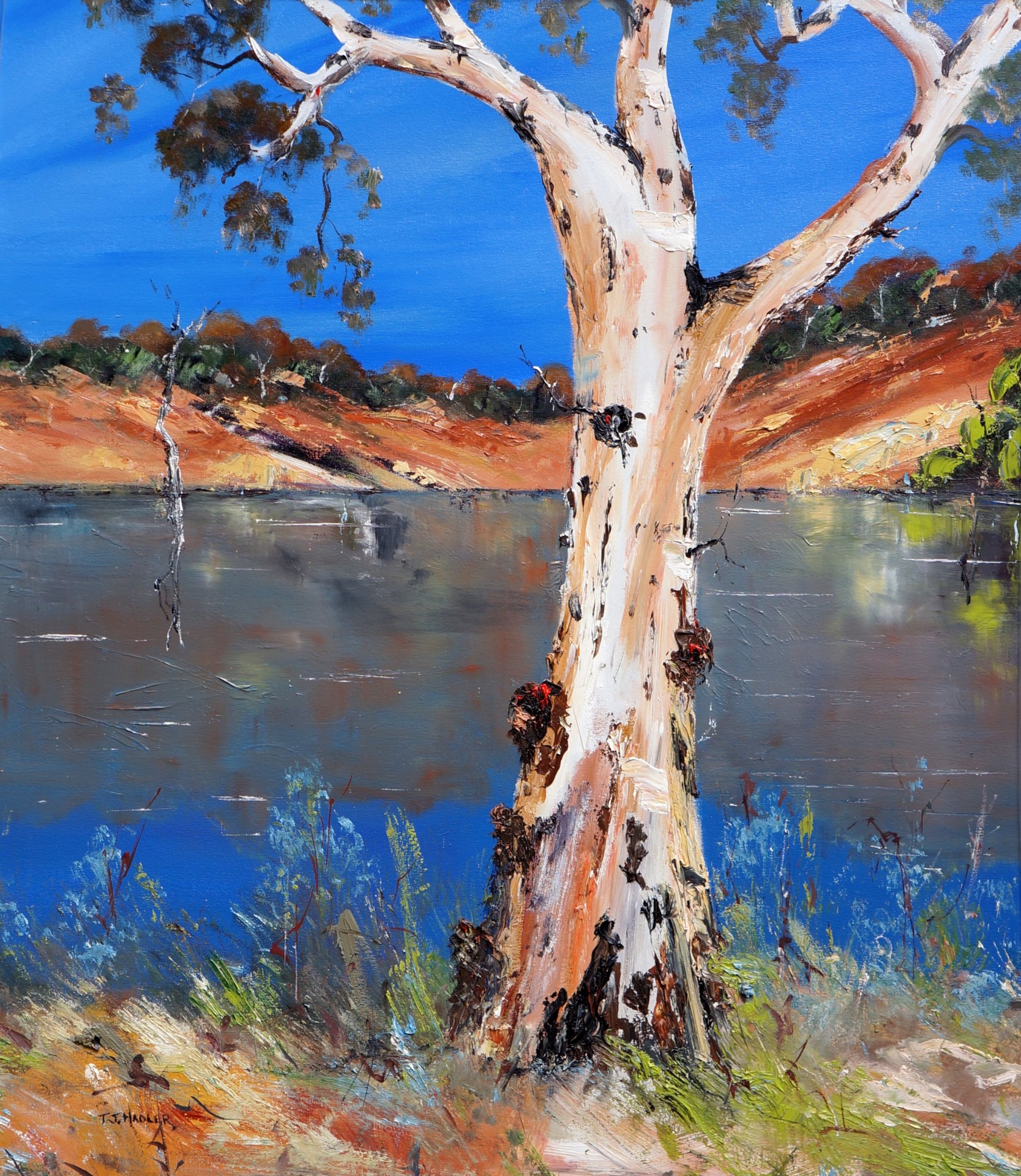 Original Australian paintings by artist Terrence John Hadler